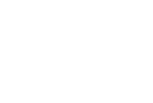Global Business Strategies